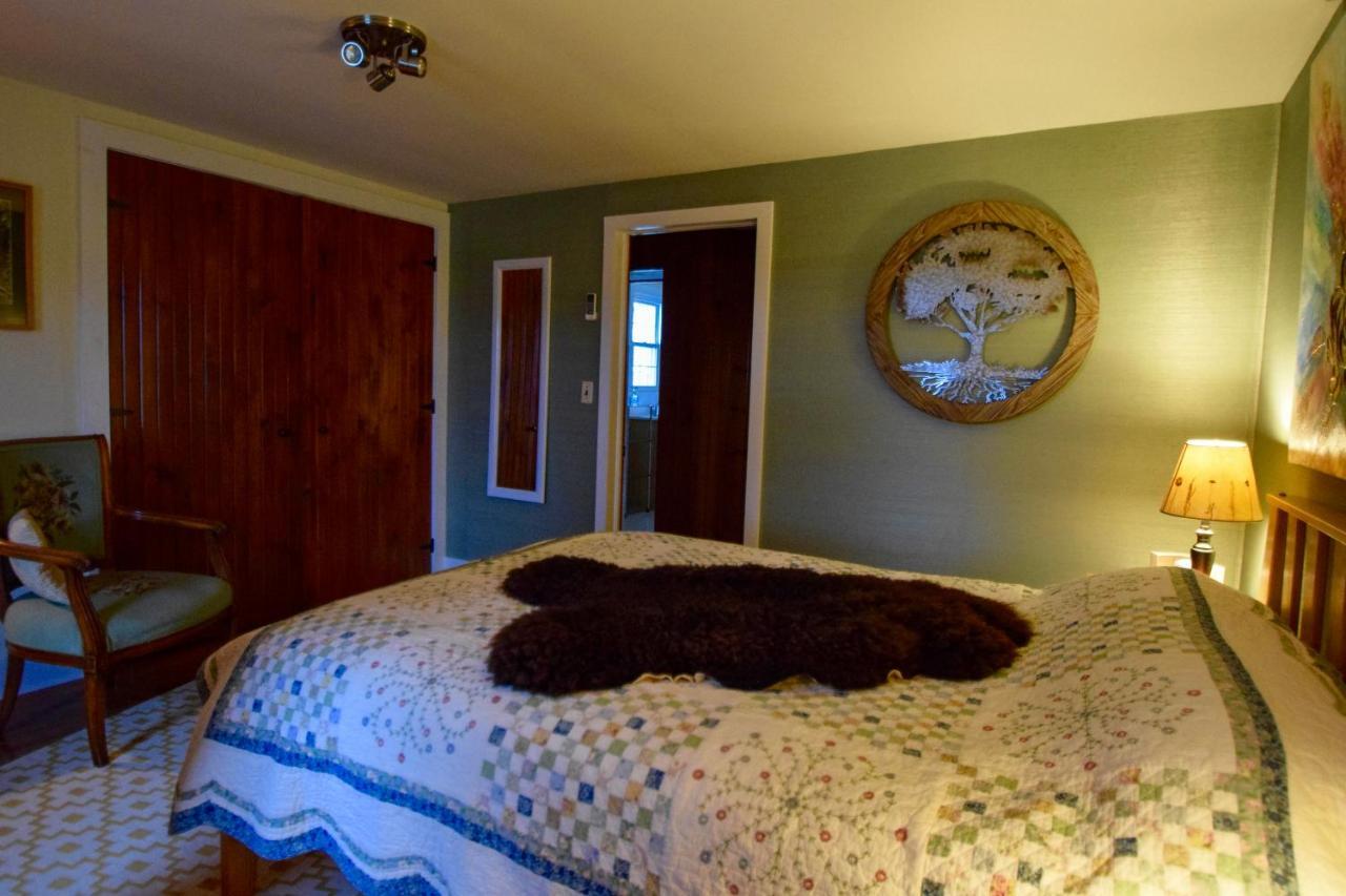 Enfield Manor Bed&Breakfast And Vacation Rental Newfield Dış mekan fotoğraf