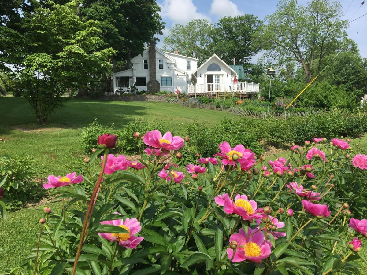 Enfield Manor Bed&Breakfast And Vacation Rental Newfield Dış mekan fotoğraf